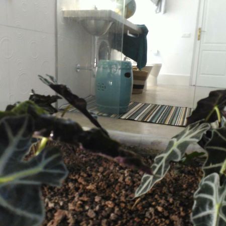 הוילה אגאטה Vilna House With Private Pool, Jacuzzi And Garden -Optional Pool And Jacuzzi Heating מראה חיצוני תמונה